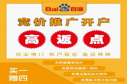 百度推广服务费案例分析：成功背后的秘密